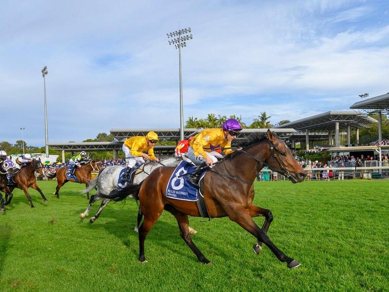 Zoumon Caloundra Cup